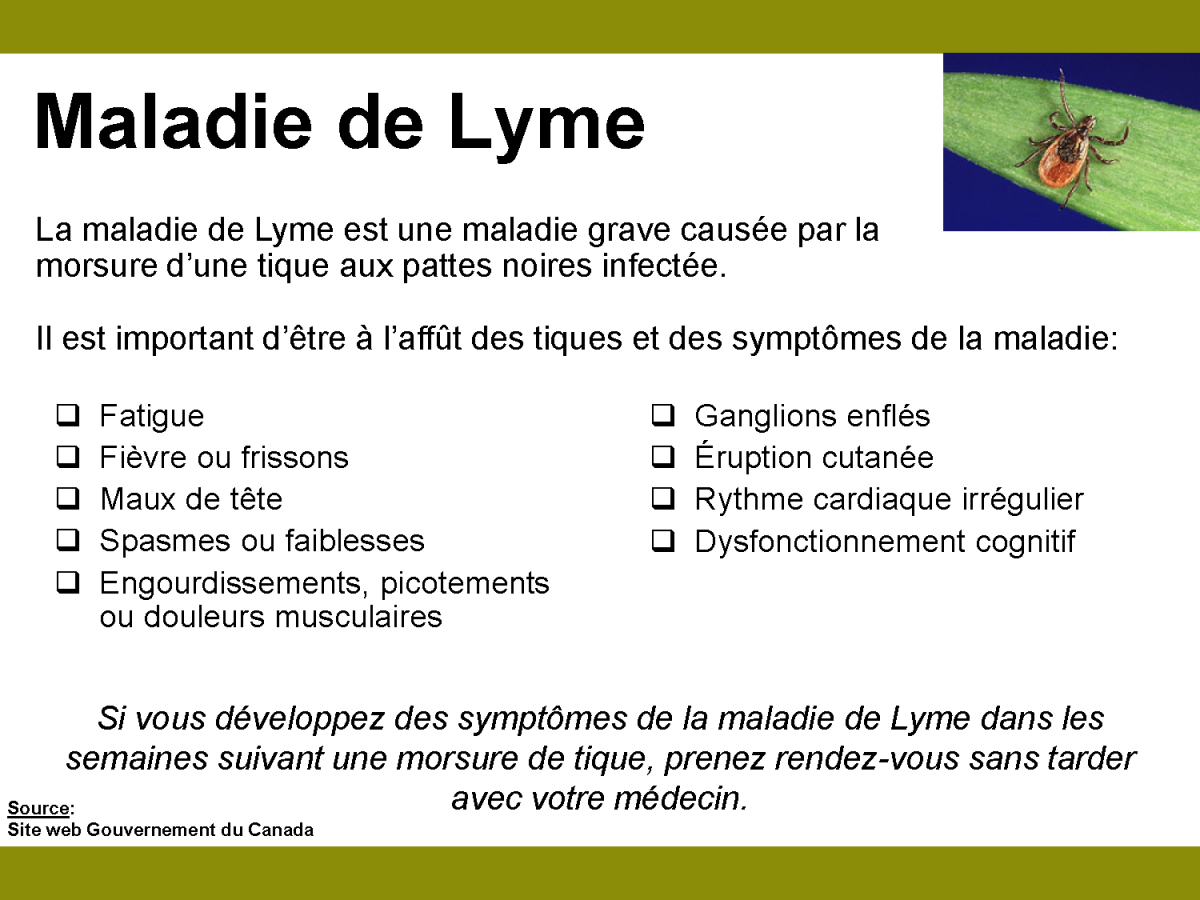 maladie_de_lyme.png