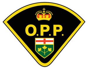 opp-logo.jpg