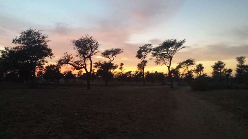 senegal_paysage_soir.jpg